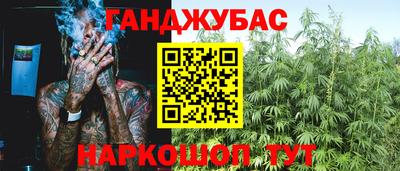 шишки Донской