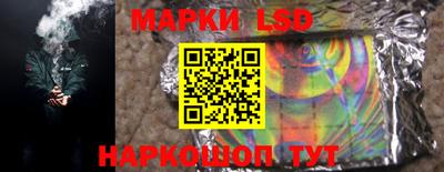 шишки Донской