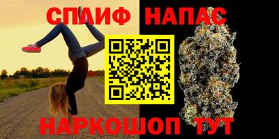 шишки Донской